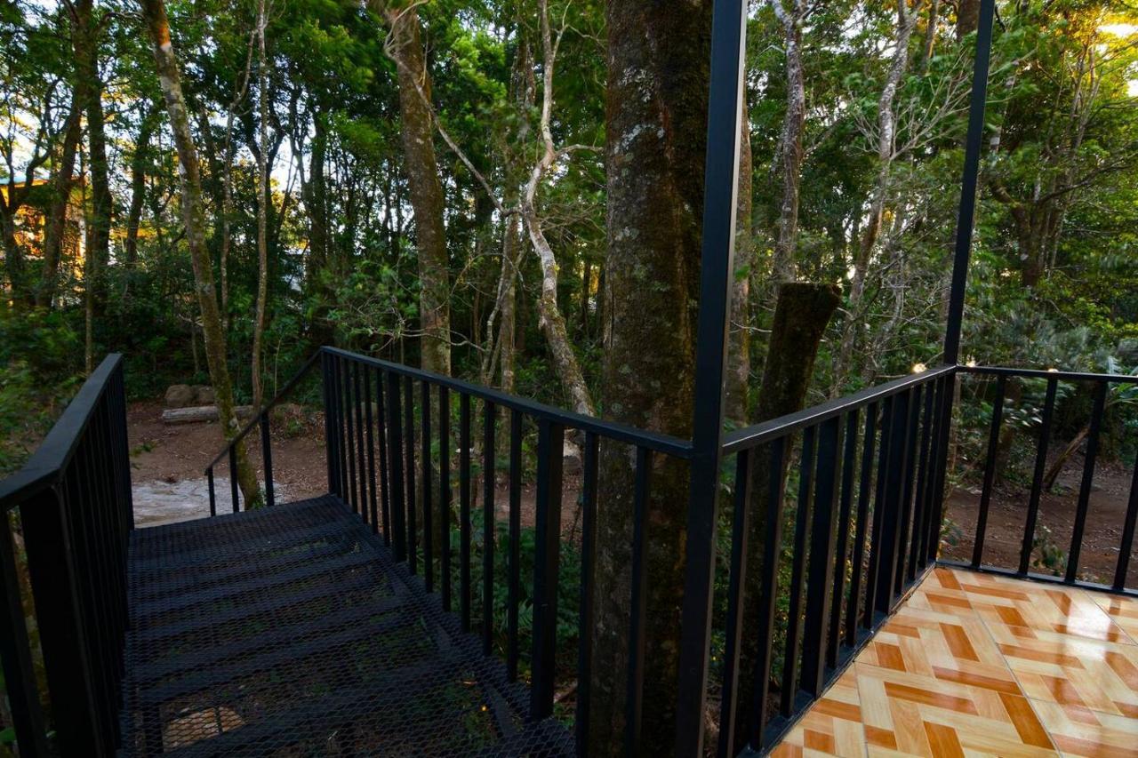 Cabanas Roca Verde Monteverde Exteriér fotografie