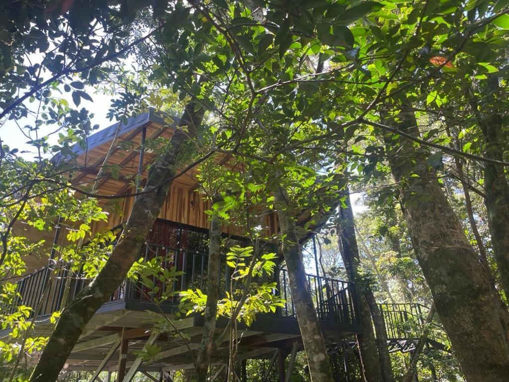 Cabanas Roca Verde Monteverde Exteriér fotografie