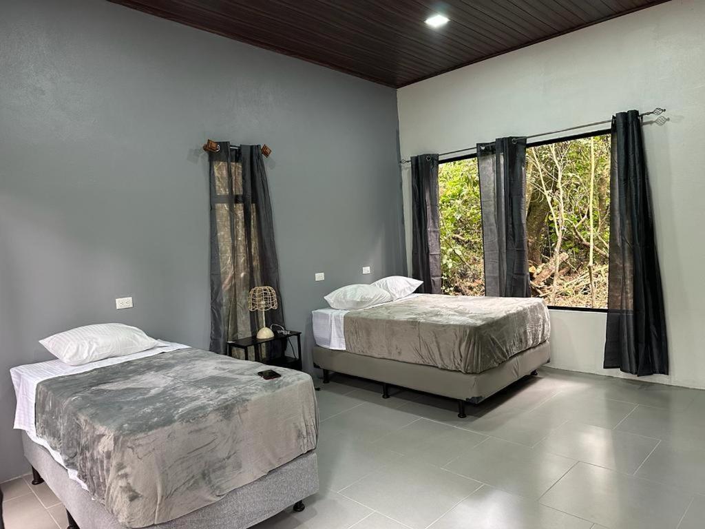 Cabanas Roca Verde Monteverde Exteriér fotografie