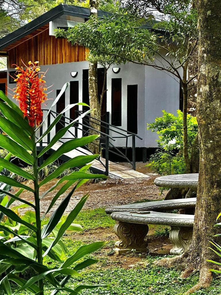 Cabanas Roca Verde Monteverde Exteriér fotografie