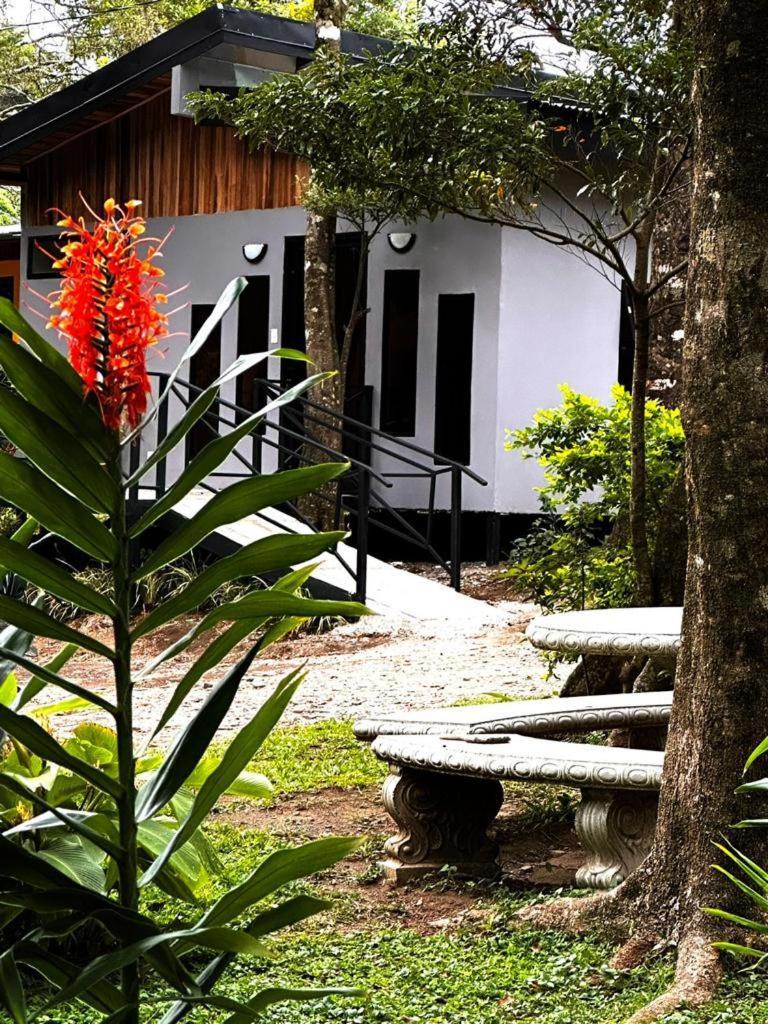 Cabanas Roca Verde Monteverde Exteriér fotografie