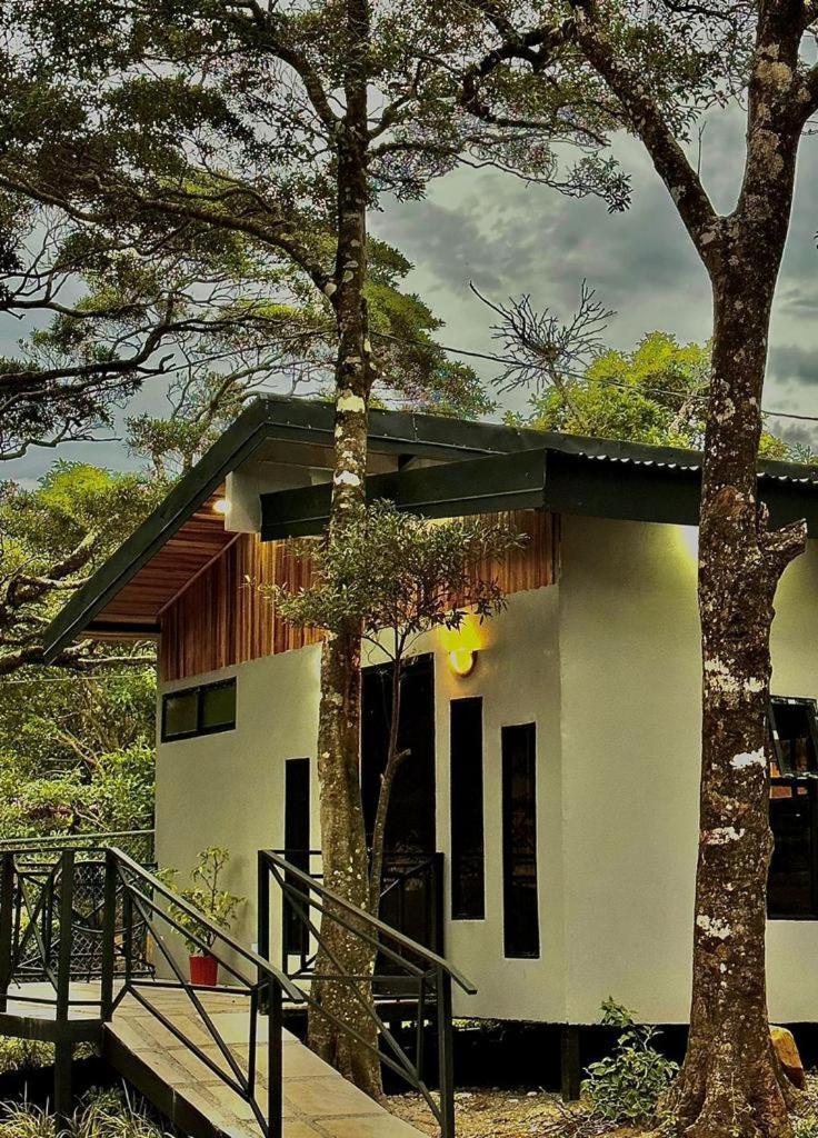 Cabanas Roca Verde Monteverde Exteriér fotografie