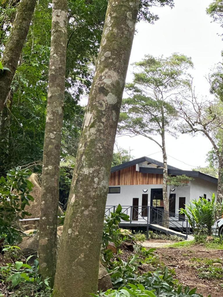 Cabanas Roca Verde Monteverde Exteriér fotografie