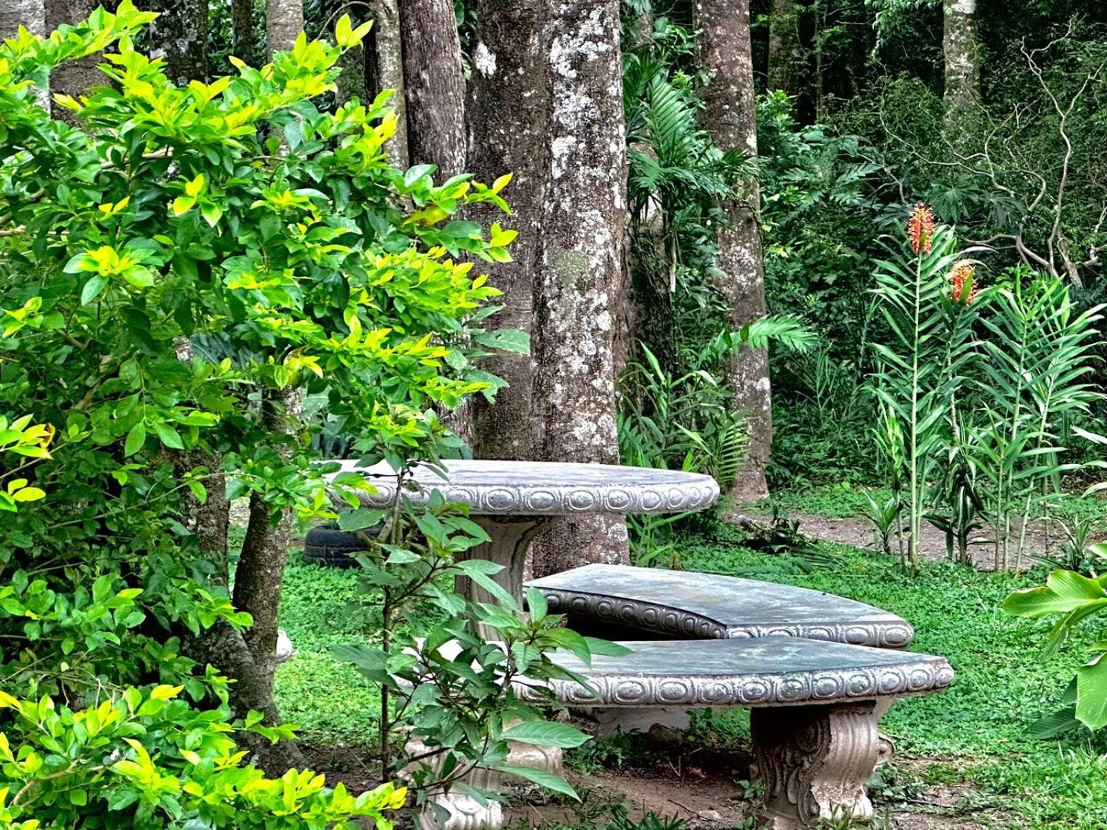 Cabanas Roca Verde Monteverde Exteriér fotografie